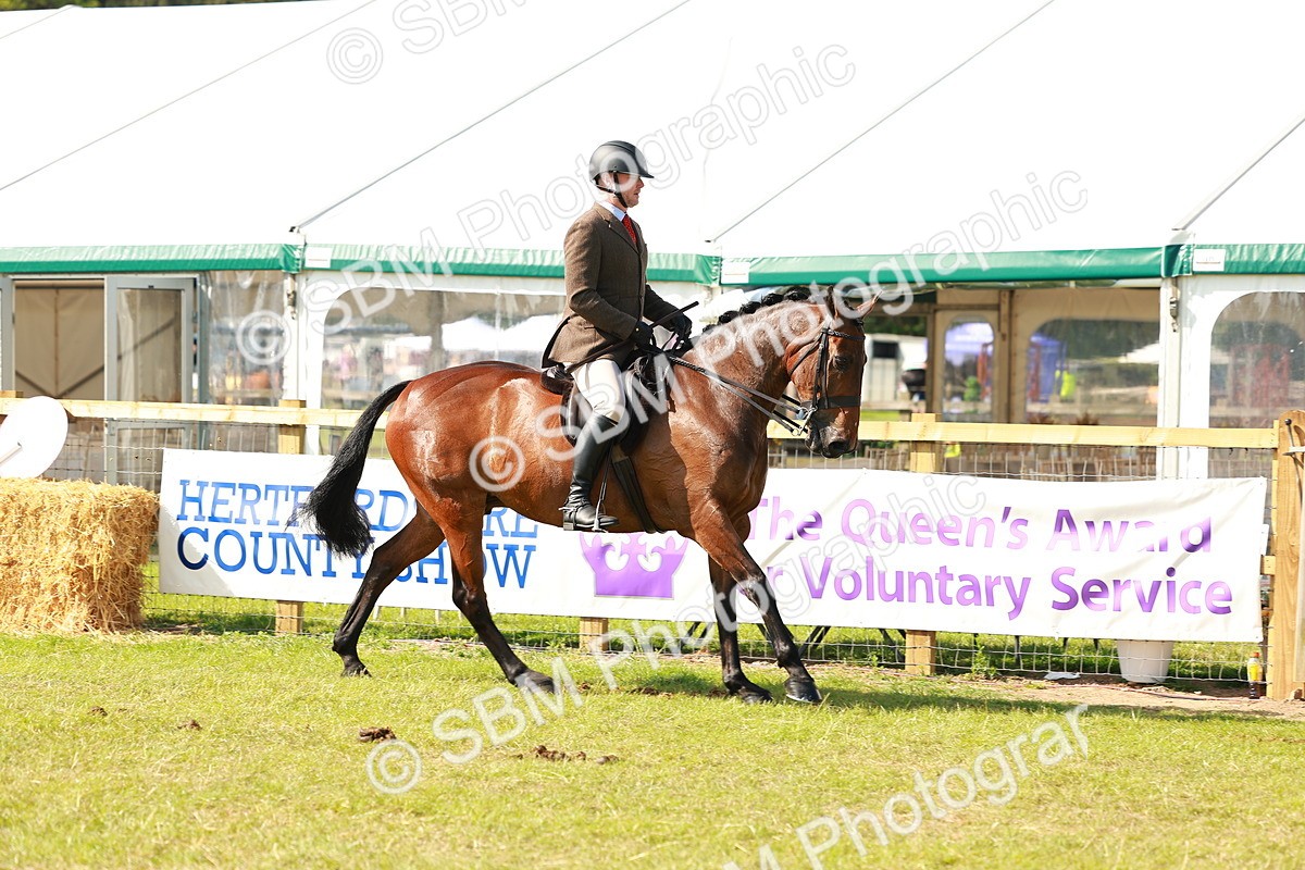 SBM_12028 - Class 66-69 - RIHS Ridden Hunters Inc Small Hunter