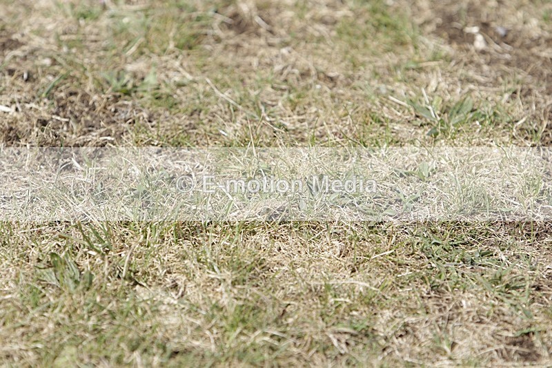 BVHT 140517 I-728 - Class 1 SJ Intermediate 14/05/17