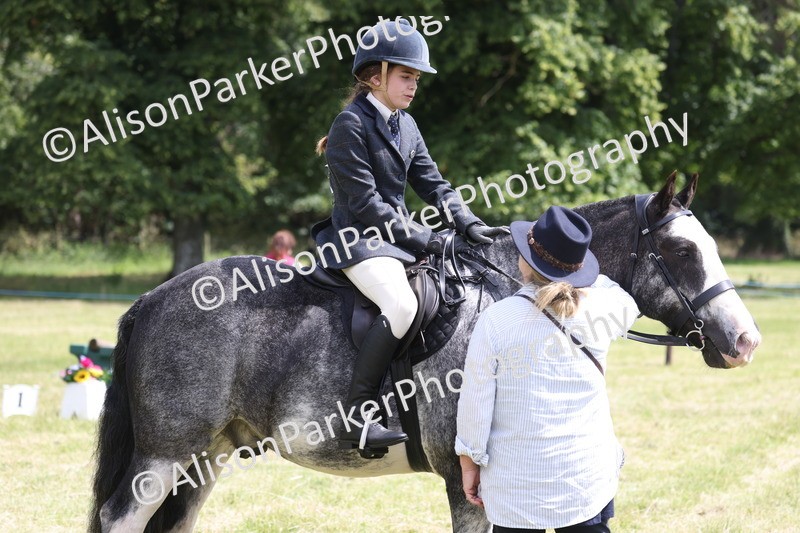 20260614-1980 - Class 21 - Novice Working Hunter Pony