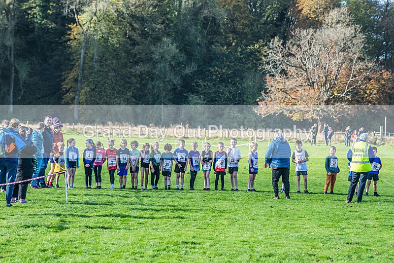 Cumbria XC-3 - Cumbria XC League Workington Saturday 26th October 2024