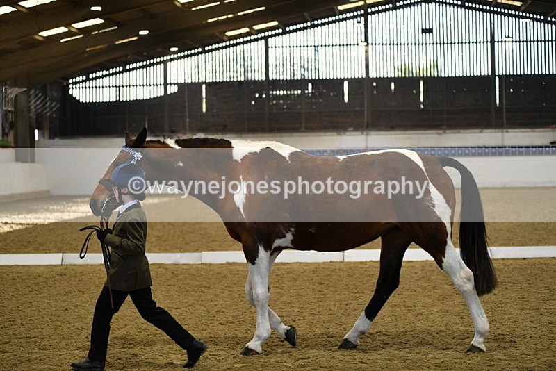 WJ5_3832 - Class 5 In Hand Veterans