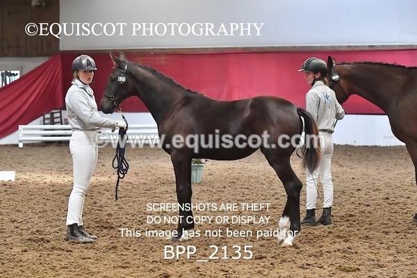 BPP_2135 - AFTERNOON 12.30 - 3.30PM