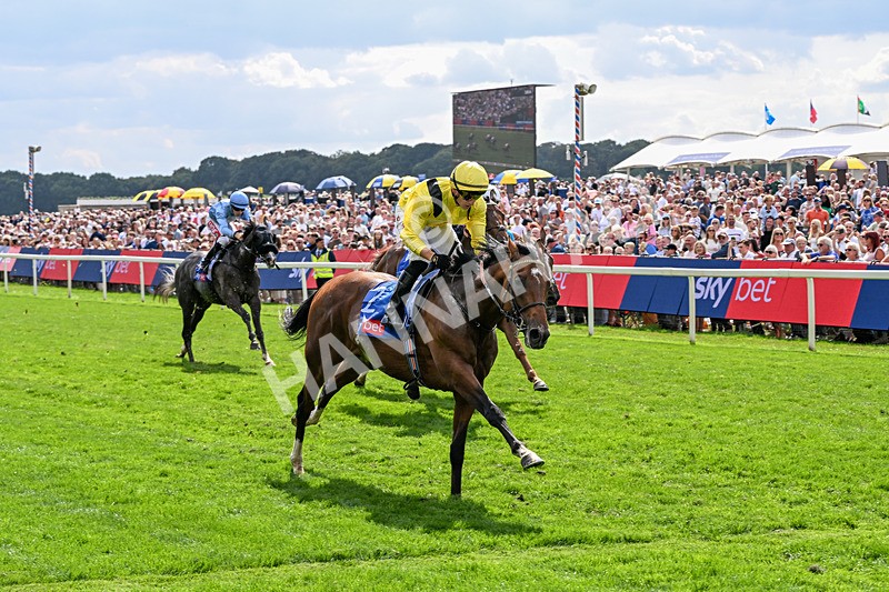 220826-Race 2-Infraad-9787 - Race 2 14.25pm Sky Bet Melrose Handicap