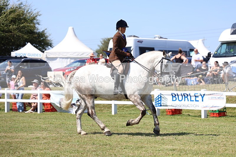 3E7A7516 - Rising Star Ridden Championship