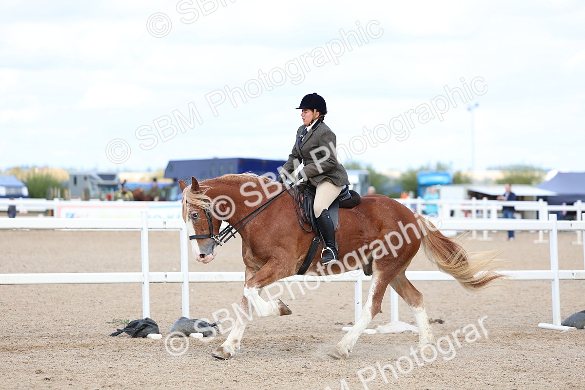 SBM_17176 - Class 315 - Best Horse - Rider Combination