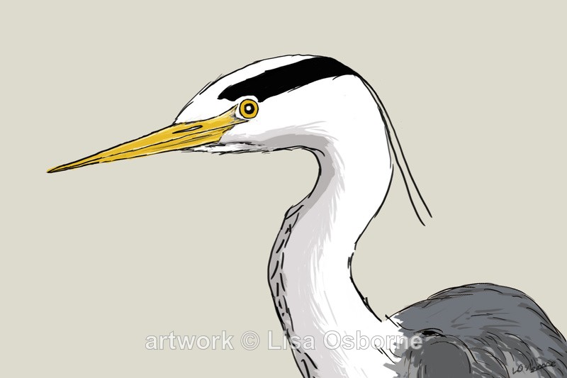 Heron - DIGITAL ARTWORK