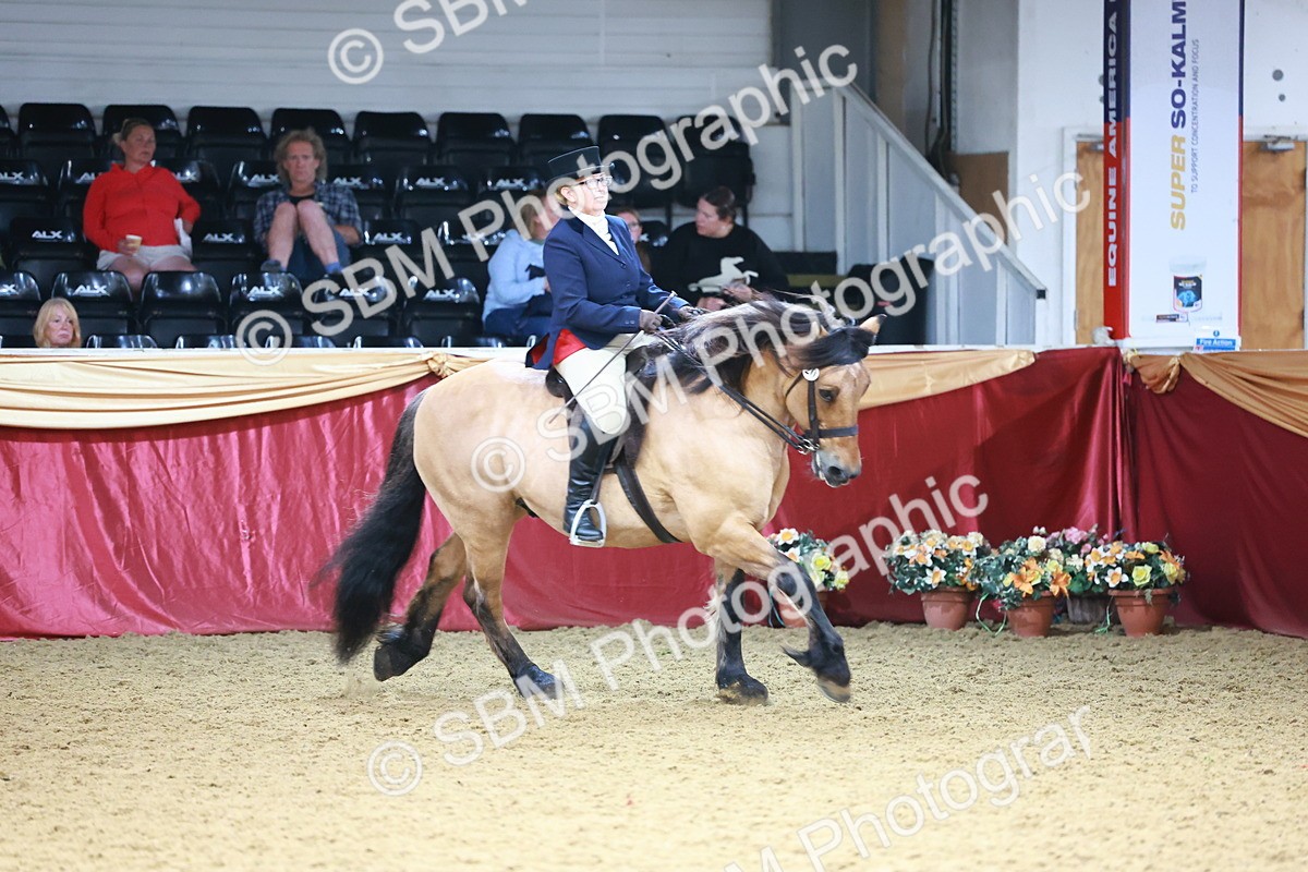SBM_23789 - Class 905 - Supreme Final - Ridden Veteran