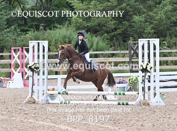 BPP_8197 - 40CM