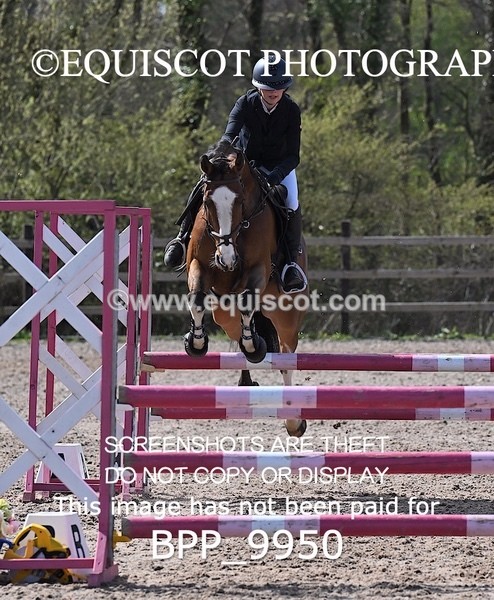 BPP_9950 - CLASS 19 SUN Senior British Novice/ 90cm Open