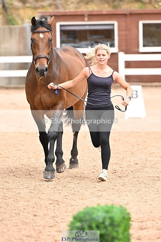 250716-144942-01437 - Trot Up 2.30 to 3.30