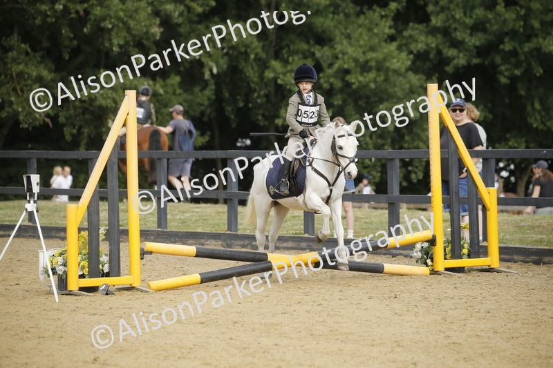 20250622-1452 - 40cm