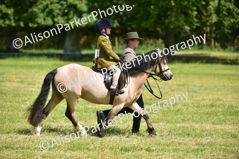 20260614-1164 - Class 11a - Lead Rein Pony (Unplaited)