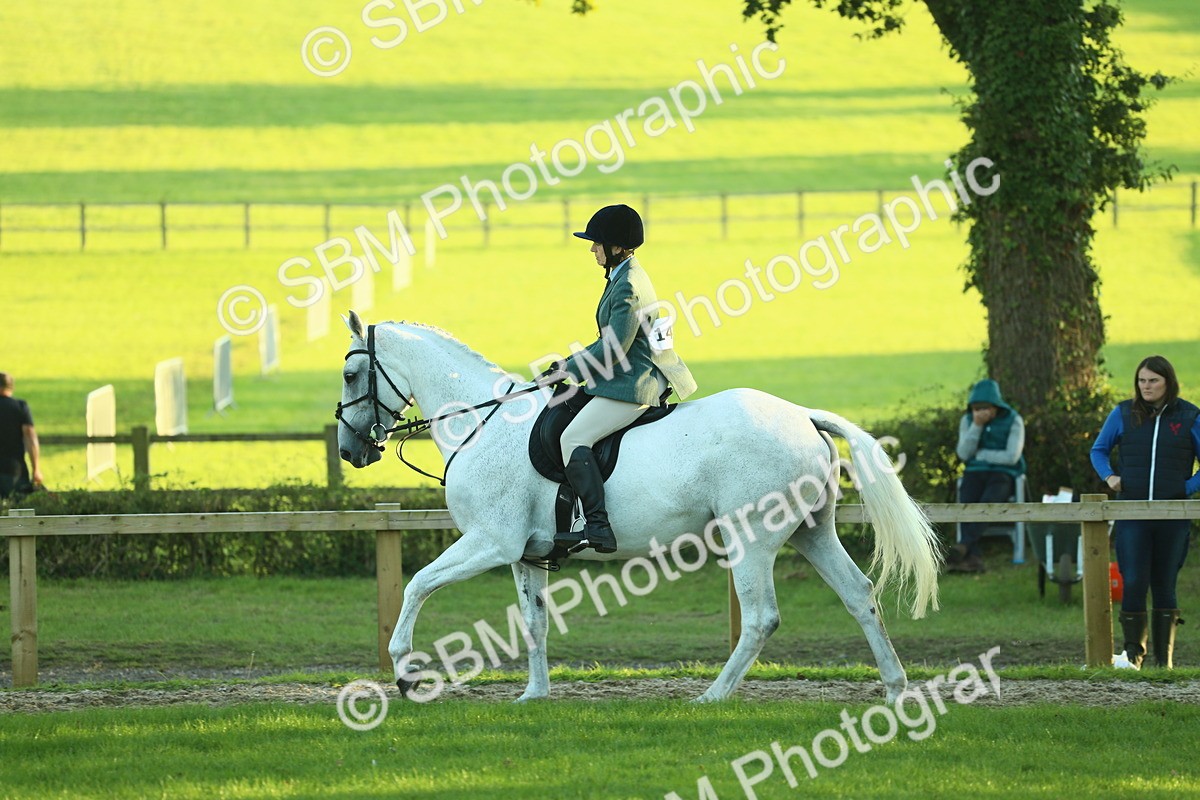 SBM_56415 - S14 - Riding Club Horse