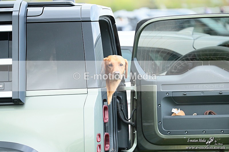 PtP 180426 1322 - Worcestershire Hunt PtP Chaddesley Corbett 18/04/26