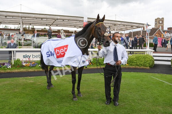 yr11062022r4-38 - Race 4 3.05pm Sky Bet Grand Cup