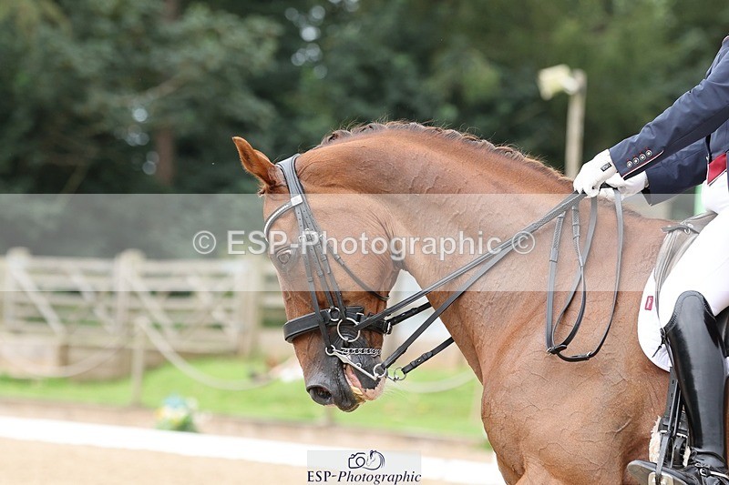 240810-144225-03791 - 121-Debbie.Cole-Dancer.III