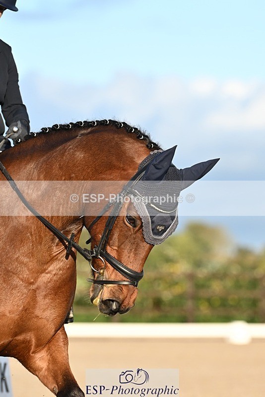 231105-152608-03808 - Cls 5 Novice 27 Start to 15.30 break