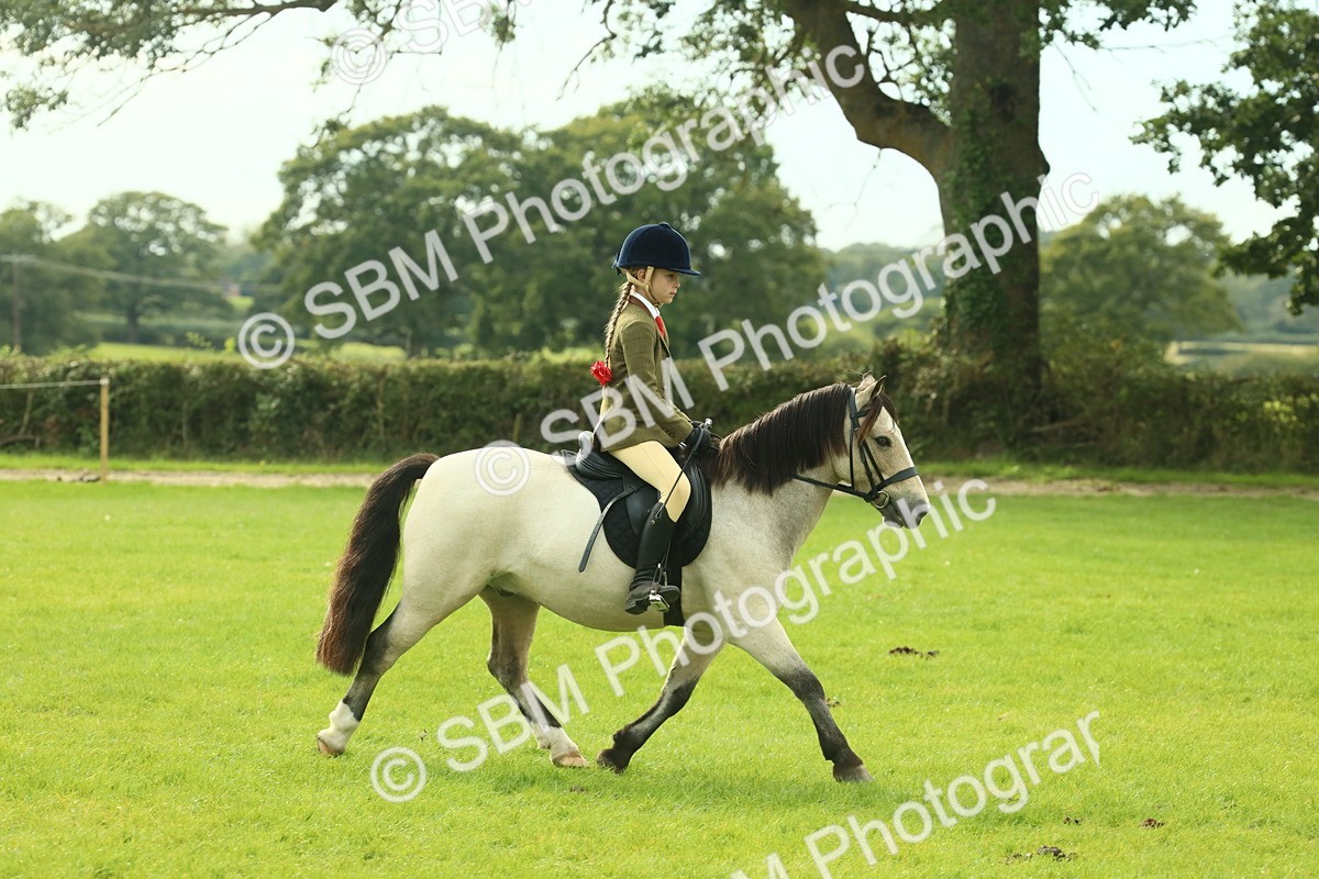 SBM_69790 - S59 - Mountain & Moorland Ridden Small Breeds
