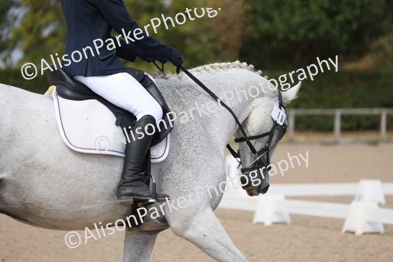 20250819-1542 - Class 5 - Novice 3