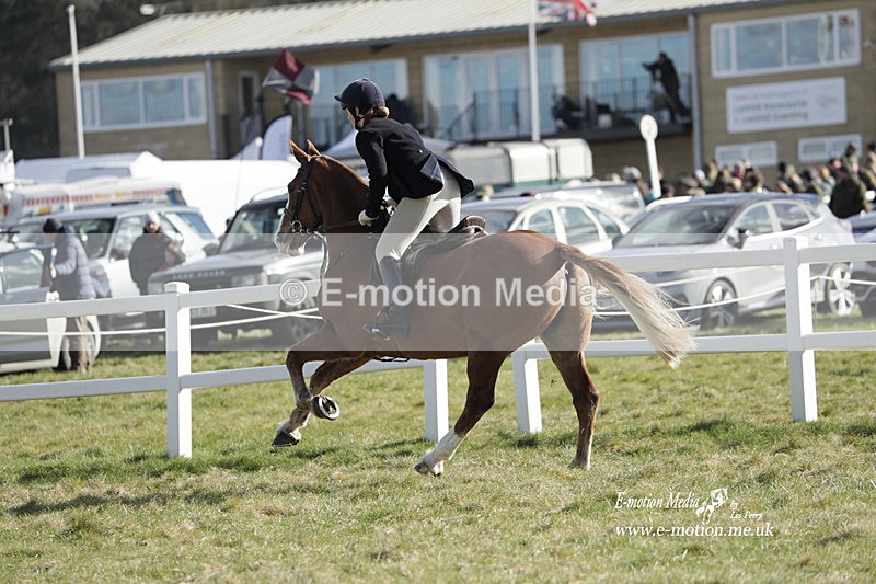 PtP 260223 799 - South & West Wilts Point-to-Point Larkhill 26/02/23