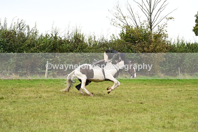 WJ7_4192 - Camera 1 Line 2