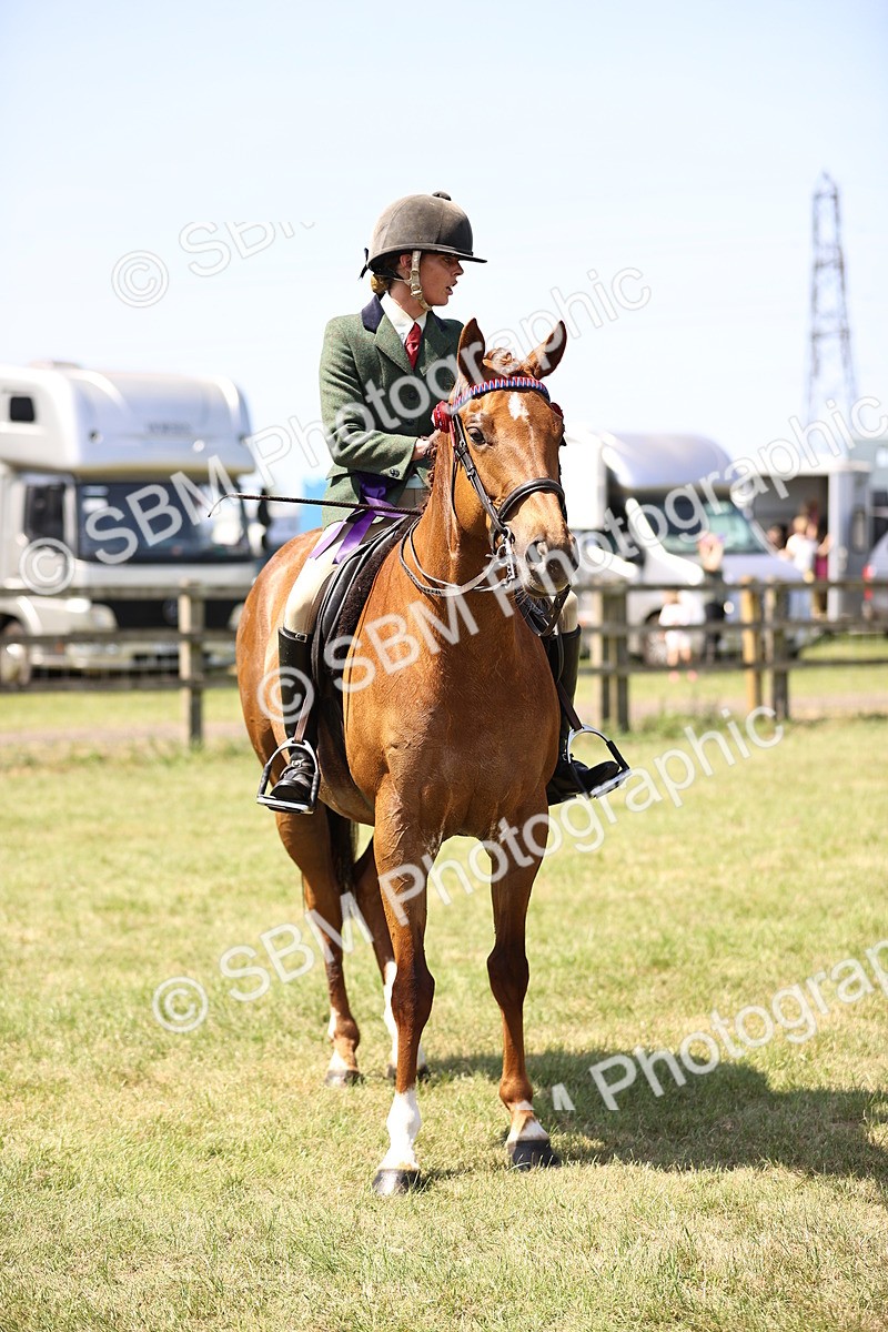 SBM_14996 - Class 78 - LIHS BSHA Open Racehorse & Show Horse