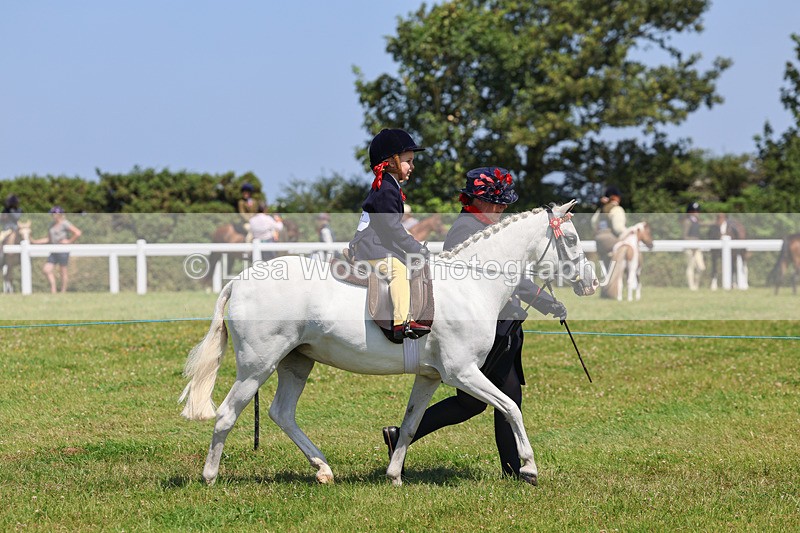 IMG_2521 - Class 38: Veteran Ridden