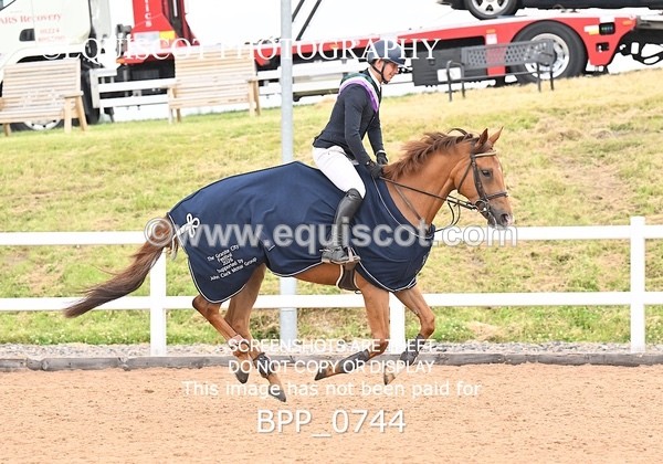 BPP_0744 - CLASS 28 SUN Nupafeeds Senior Dicovery/1m open