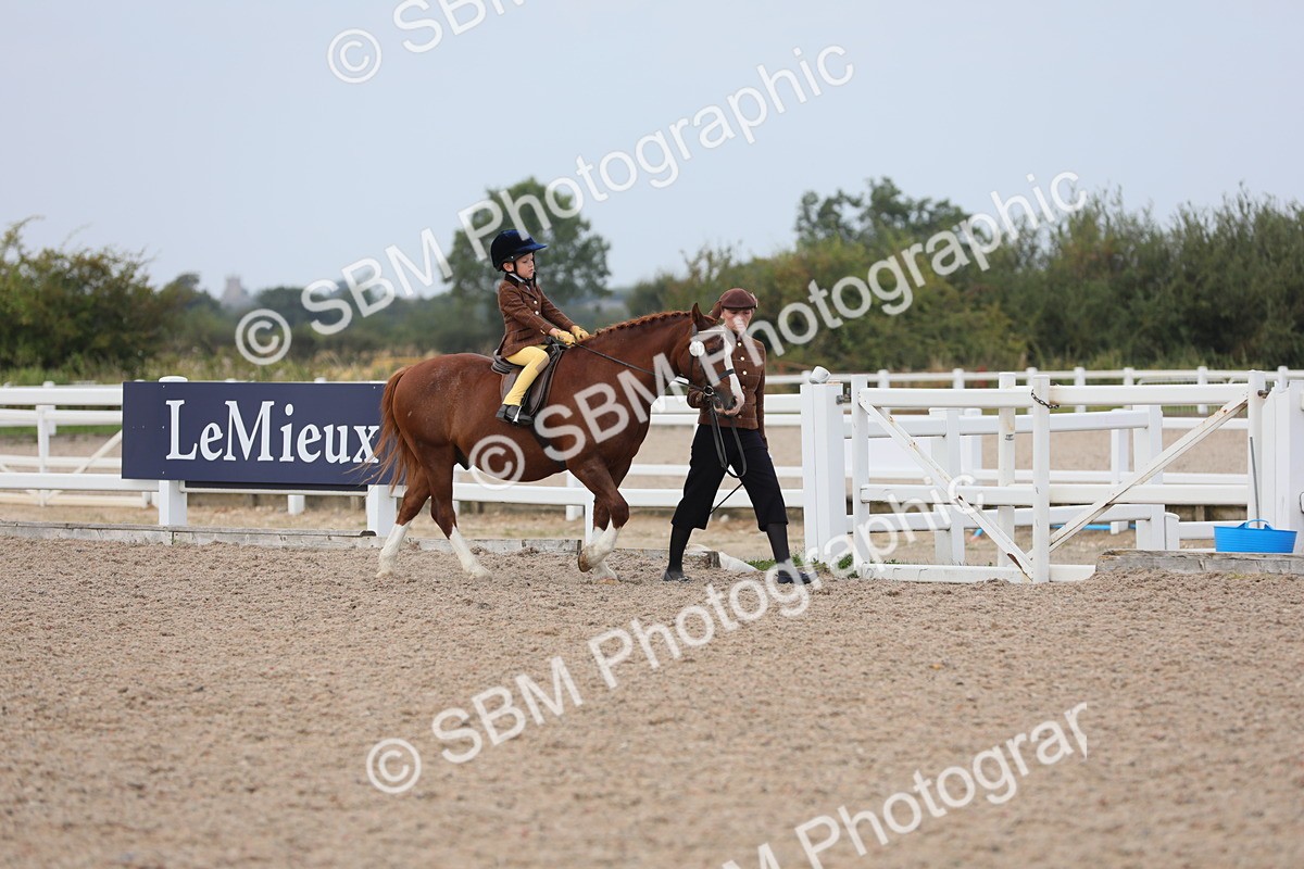 SBM_16852 - Class 314 Family Horse/Pony