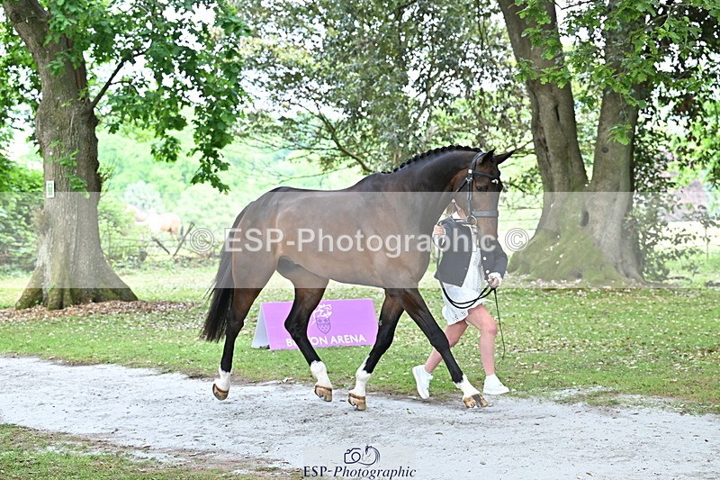 250521A-152428-00487 - B-310-Kitty.King-LISCARROW.FERNHILL