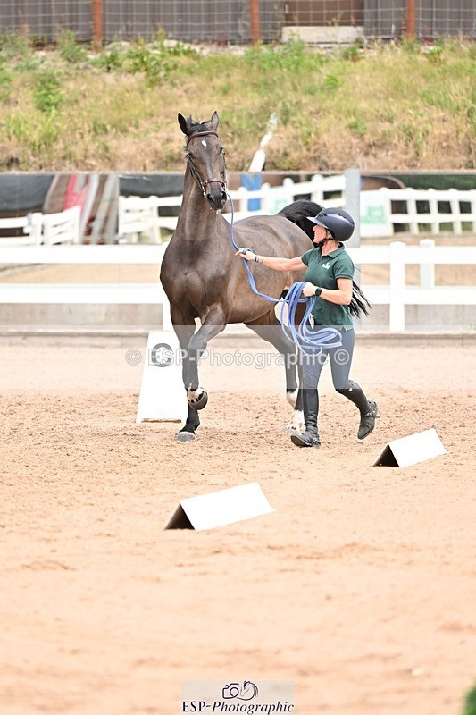 250716-143927-01260 - Trot Up 2.30 to 3.30