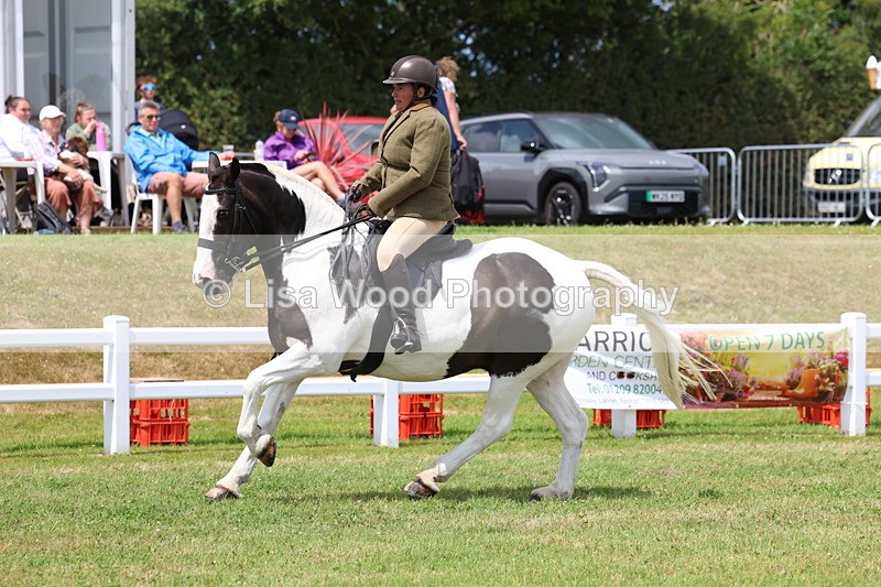 3E7A1962 - Class 10: Open Cob
