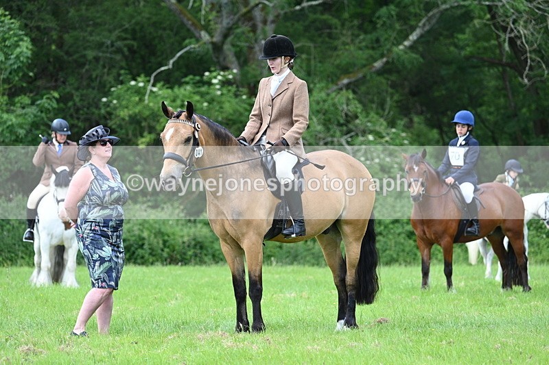 WJ7_1409 - Class 11 Condition & Turnout