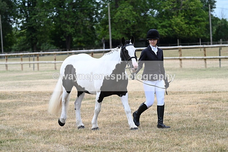 WJ7_1467 - Class 4 Prettiest Mare up to 14.2hh in hand