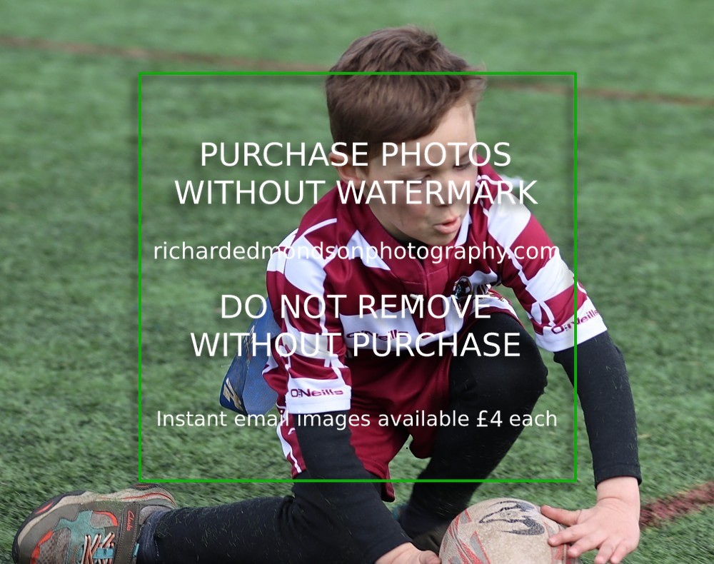 IMG_2829 - Rochdale Rugby Under 7's (27/4/24)