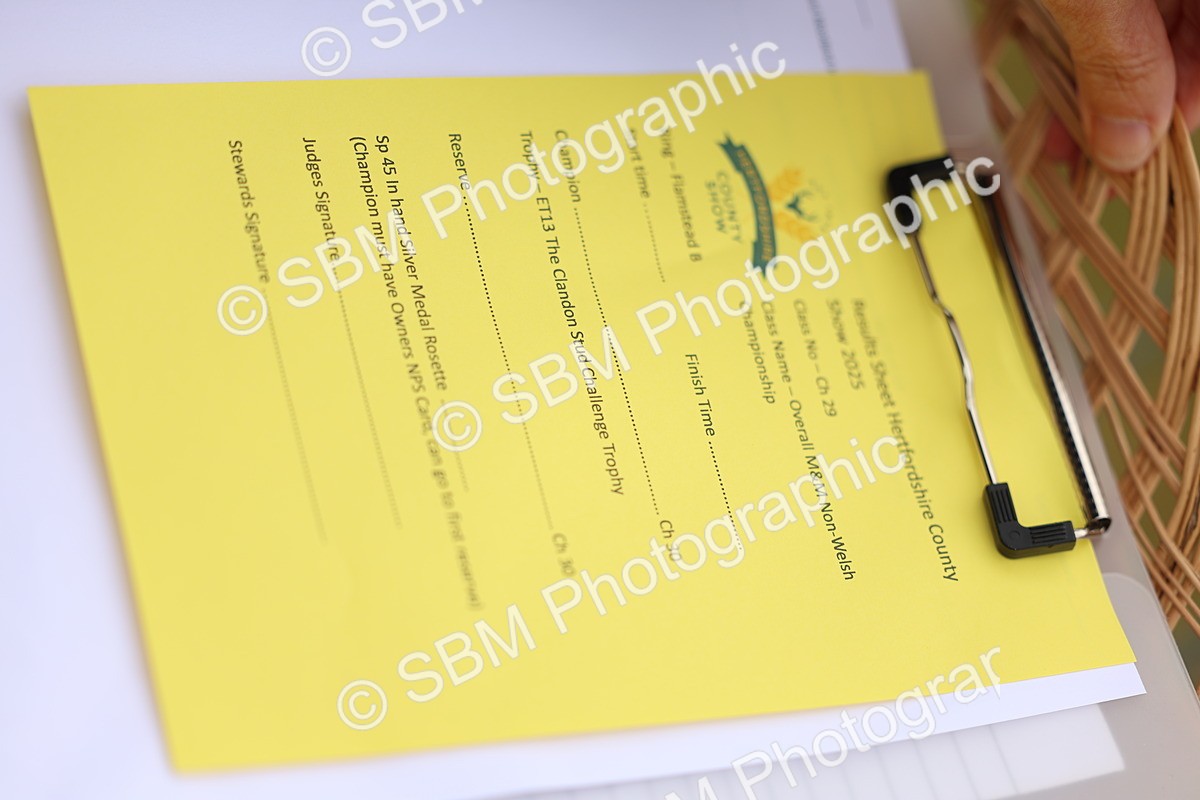 SBM_03549 - Class 58-67 - M&M Non Welsh Pony In hand