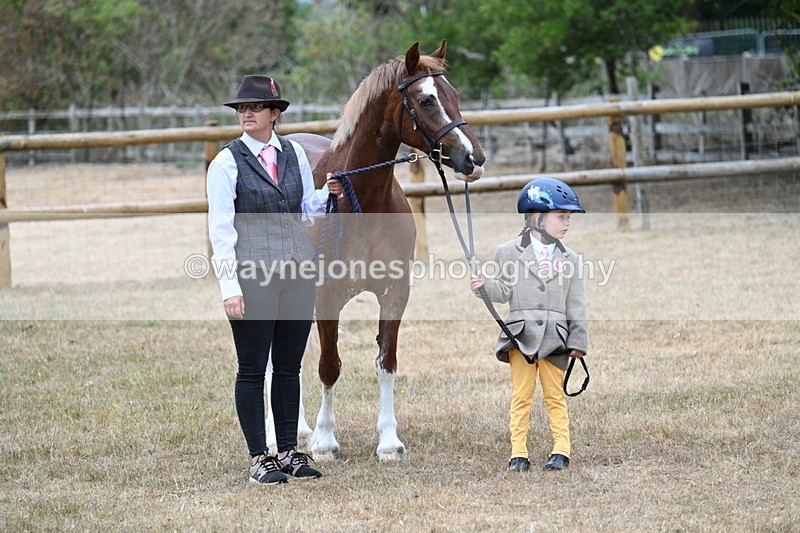 WJ7_8082 - Class 4 Prettiest Mare up to 14.2hh