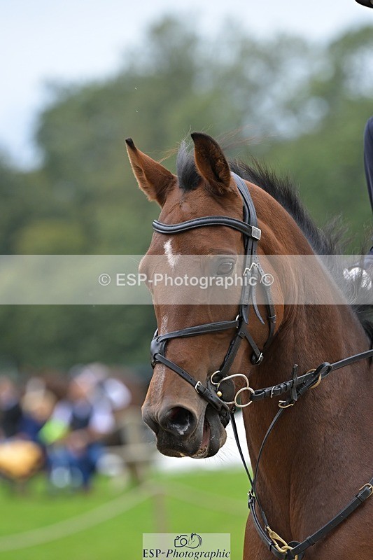 240929-124821-00768 - Cls 2 80-85cm 12.15 to End