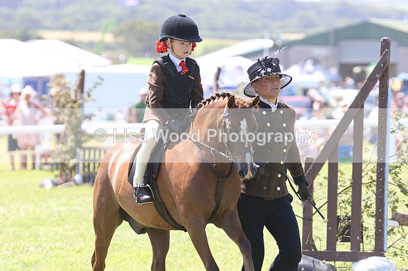 JPP_2192 - Class 20: Tiny Tots Working Hunter Pony