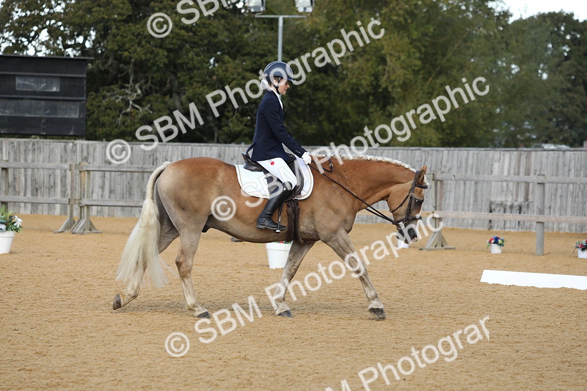 SBM_40562 - D21 - Junior Championship - Intro A