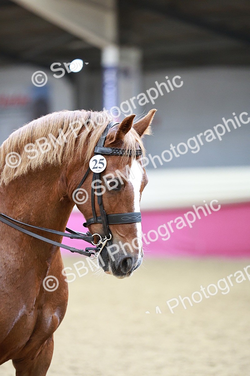 SBM_02232 - Class 4A - Area Ridden Diamond