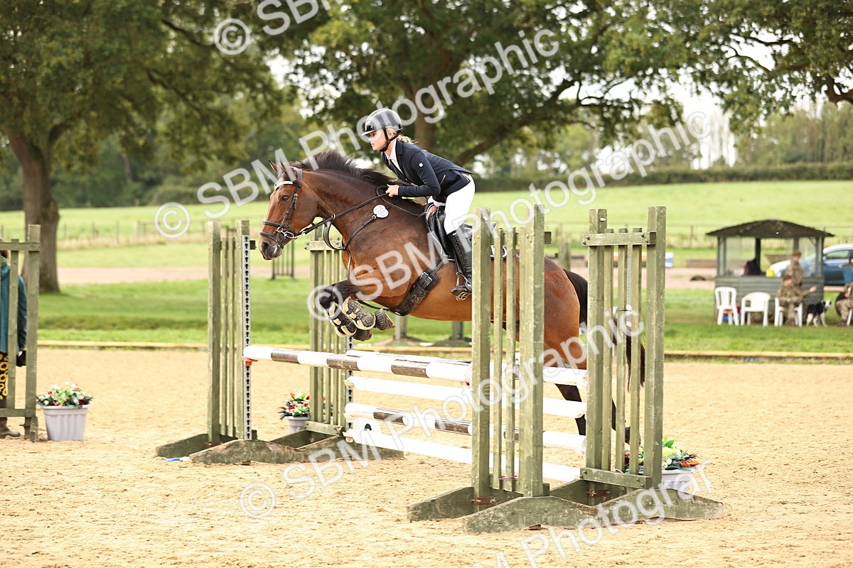 SBM_58428 - J41 - Grand Tour Horse & Pony 95cm