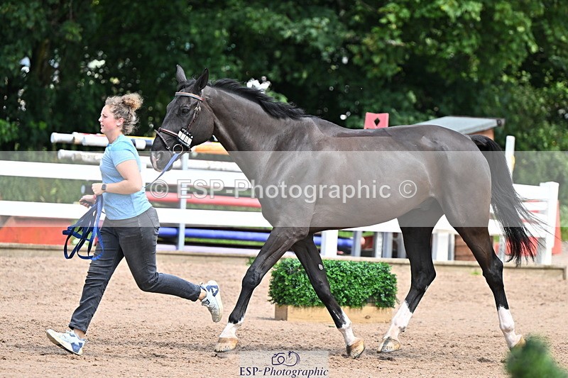 240718A-105304-01513 - Trot Up 12pm to 1pm