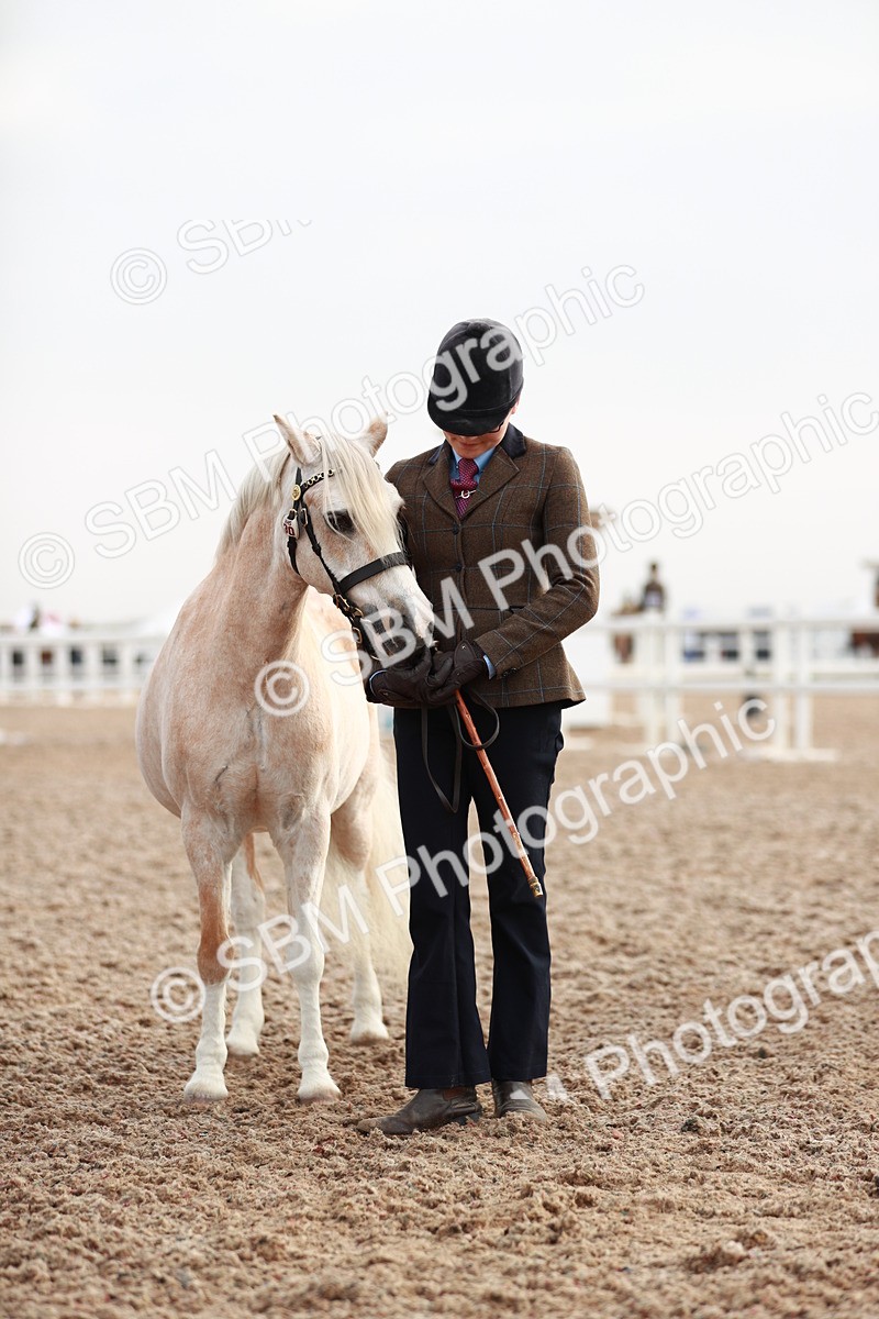 SBM_09533 - Class 201 Best Turned Out IH