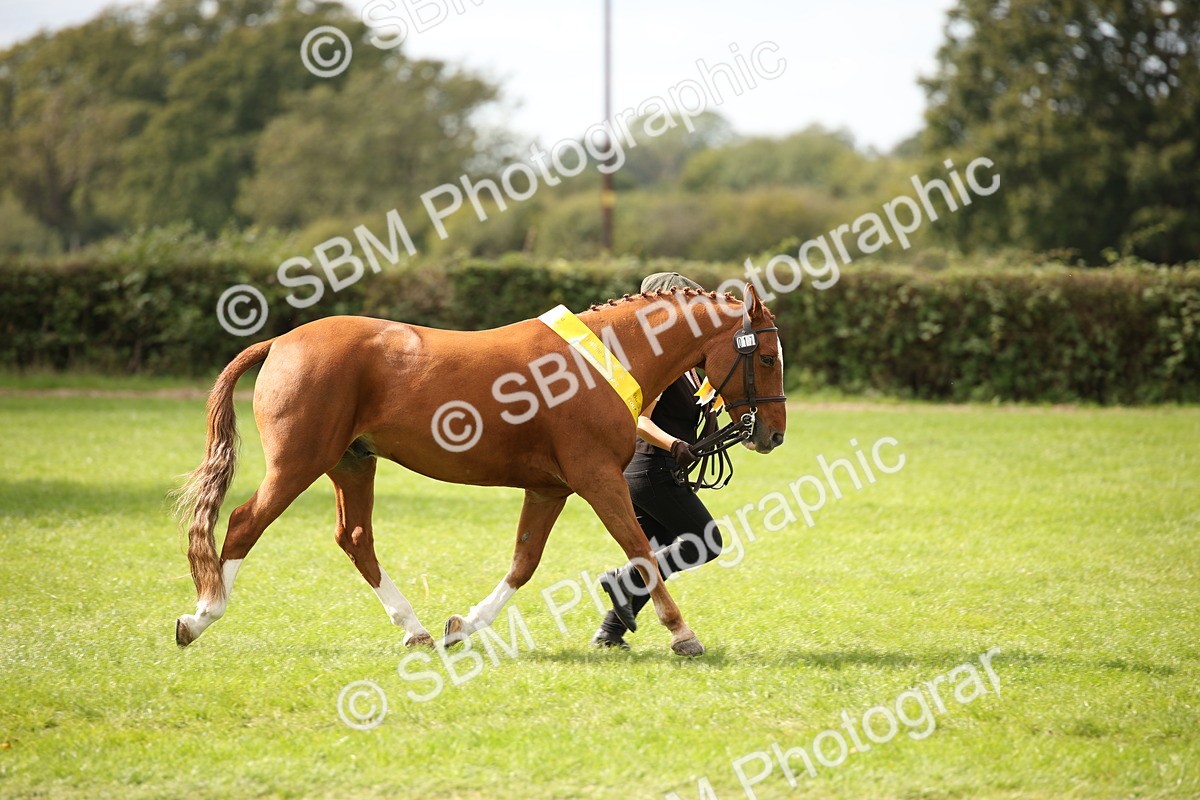 SBM_44532 - S24 - Young Veteran in hand