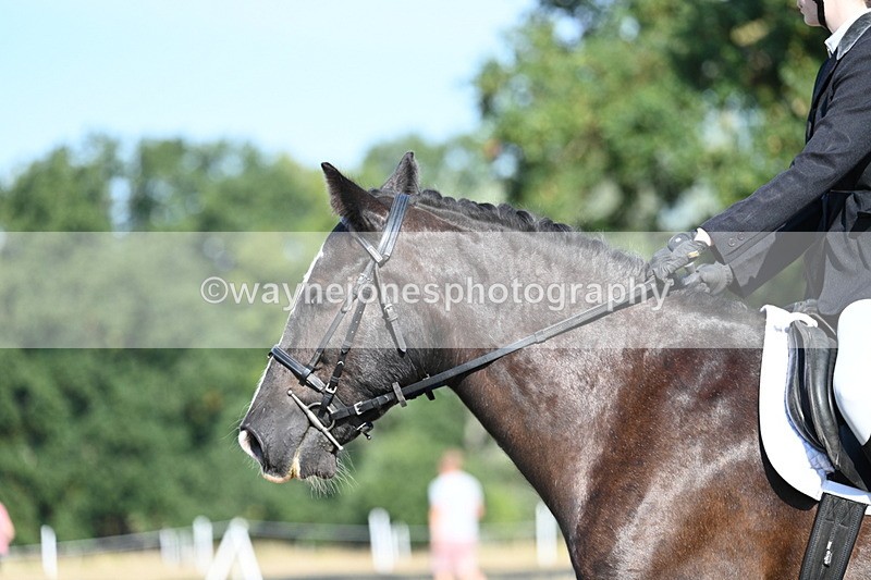 WJ7_9144 - Time 09:27 to 10:03