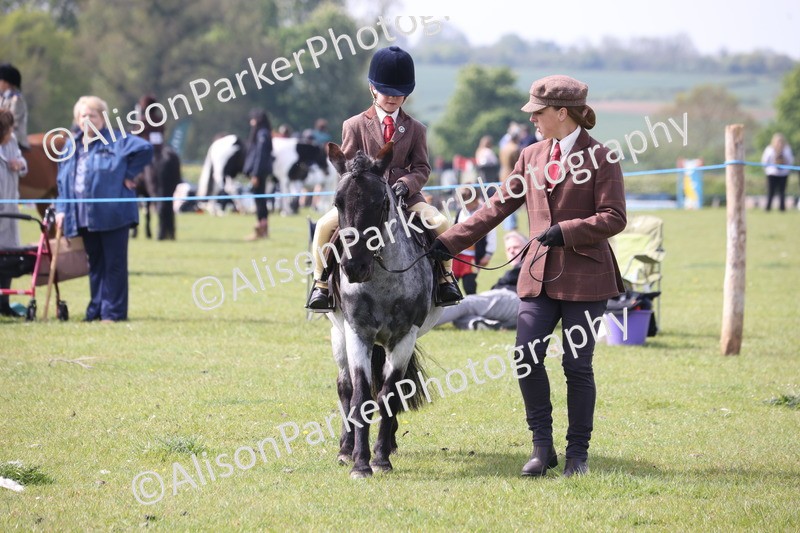 20260426-2606 - Class 31 - Leading Rein