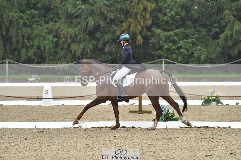 231018-143916-00616 - 002-CHILLI.BILL-Alicia.Wilkinson-DR