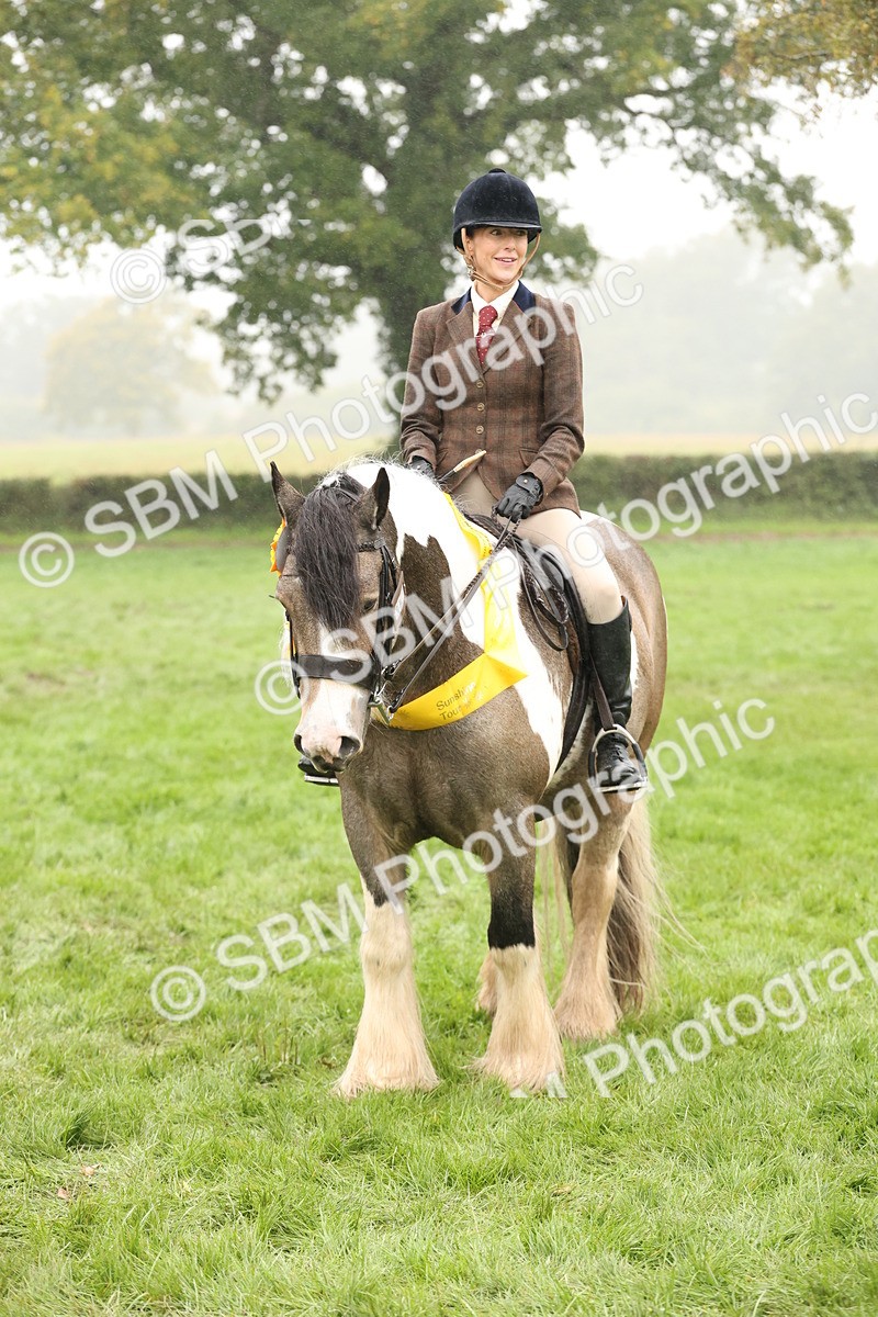 SBM_72938 - Ridden Horse Supreme Championship