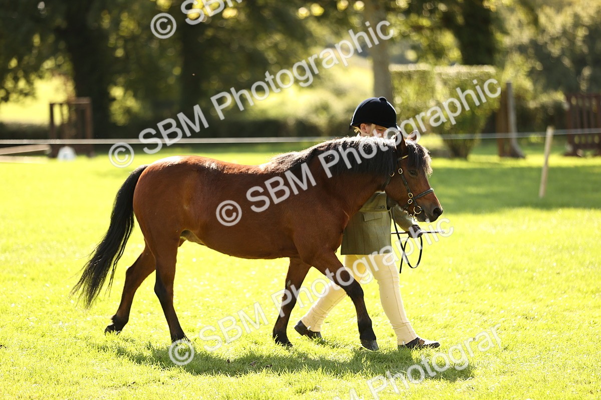 SBM_26119 - S5 - Novice & Newcomers In Hand